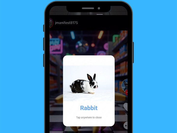 Pop-Up Video Flashcards: Brings words to life with real motion clips that turn regular screen time into active word discovery.